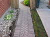Interlock Pathway