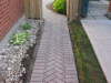 Interlock Pathway